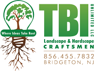 TBI Unlimited Logo